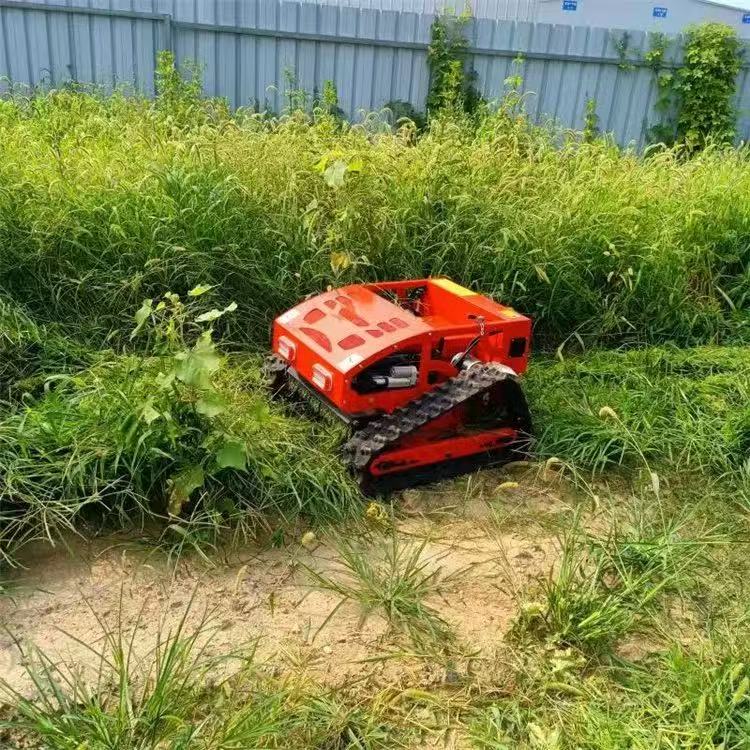 Akıllı Uzaktan Kumandalı Döner - Smart Garden Trimmer incelemesi ve fiyatı