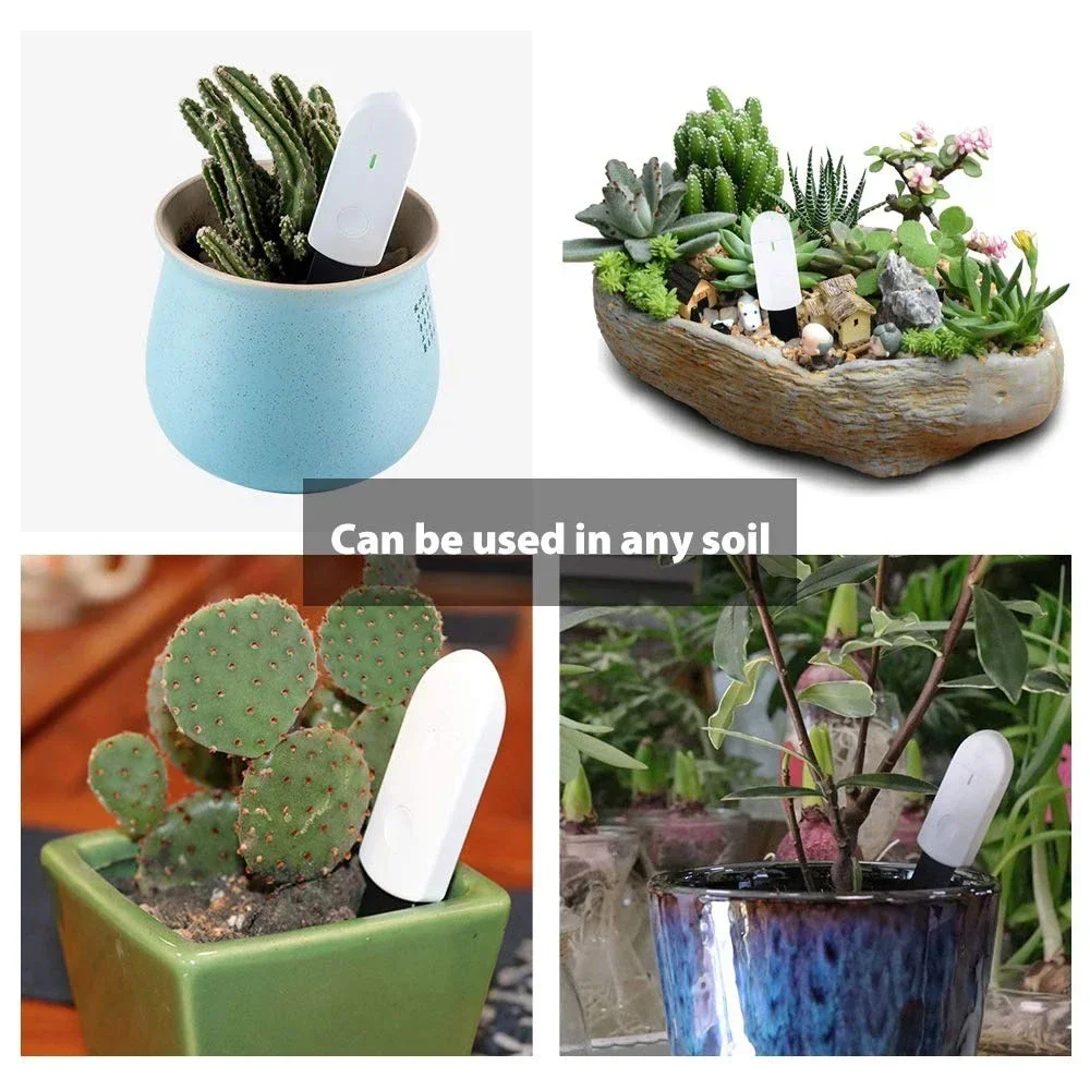 Yeni Akıllı Toprak Nem Test Ci - Smart Garden Tools incelemesi ve fiyatı