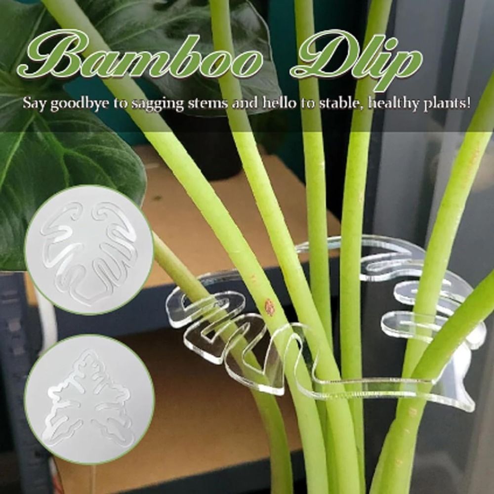 1/2 adet yeniden kullanılabili - Smart Garden Storage incelemesi ve fiyatı