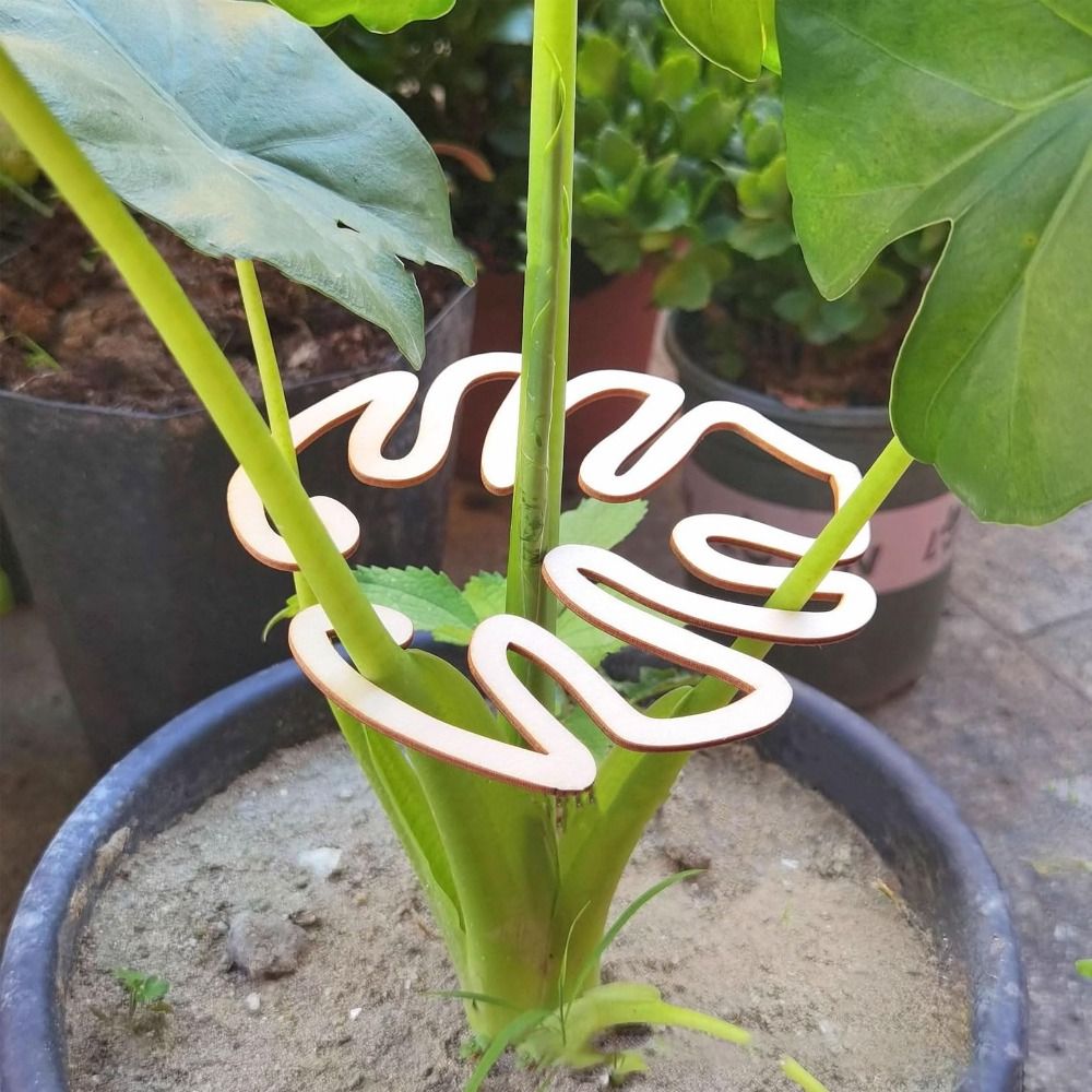 1/2 adet yeniden kullanılabili - Smart Garden Storage incelemesi ve fiyatı