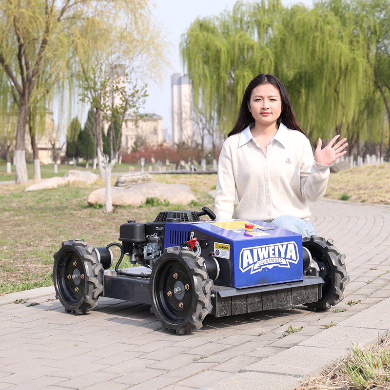 Özelleştirilmiş Otomatik Robot - Smart Garden Trimmer incelemesi ve fiyatı